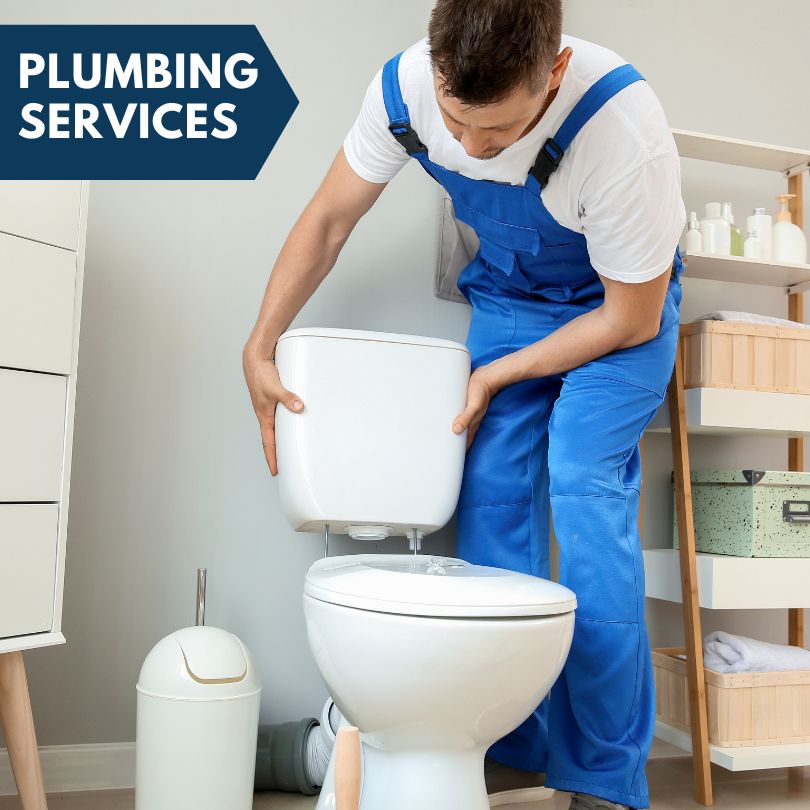 Plumbing Company in La Salle, MI